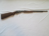 Savage Arms M25 oct brl 22 S/L/LR pump 11057