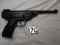 pellet gun