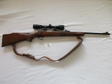 Remington 243 bolt M700 w/Bushnell scope SN B6380132