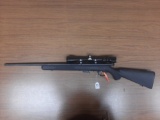 Savage Arms .17 HMR w/scope SN 557673