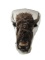 Bison head wall mount  (Pick Up Only- NO SHIP)