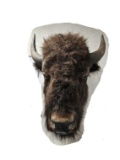 Bison head wall mount  (Pick Up Only- NO SHIP)