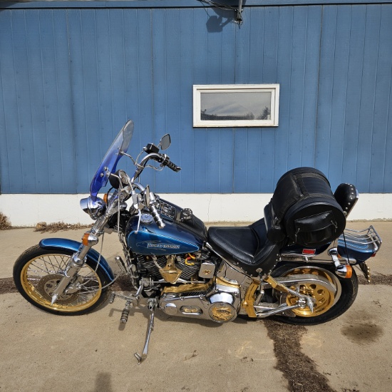 1991 Harley Davidson-11,221 mi
