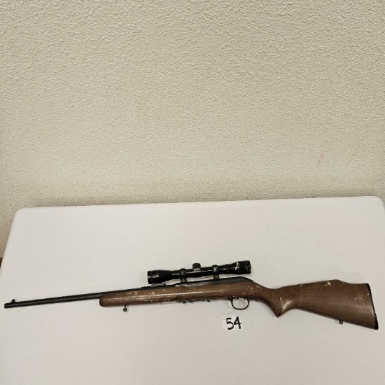 Savage 64 .22 LR only auto w/Bushnell scope SN 0653559