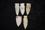 Grouping Of Side Notch Points, All Found On Same Site In Pike Co, Illinois By Tyson Steinbaker & Fat