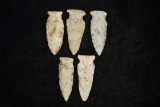 Grouping Of Side Notch Points, All Found On Same Site In Pike Co, Illinois By Tyson Steinbaker & Fat