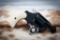 Colt Cobra, 38 Special, Faux ivory grips, serial number 164994