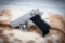 Walther model PPK/S Stainless, 380 Auto, serial number 0031BAB