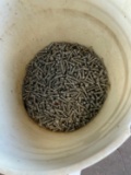 Bucket of Self tap screws