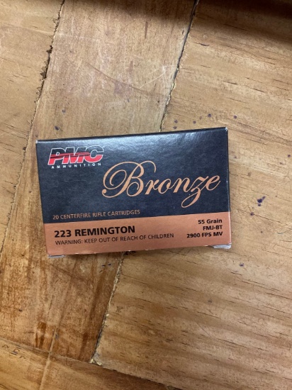 223 Remington 20 Cartidges