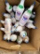 6 Boxes of misc