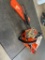 Echo C5 310 Chainsaw
