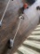Echo SRM 225 Weedeater works