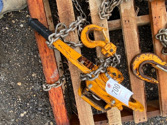3 Ton Harrington chain hoist