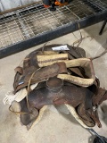 Saddle
