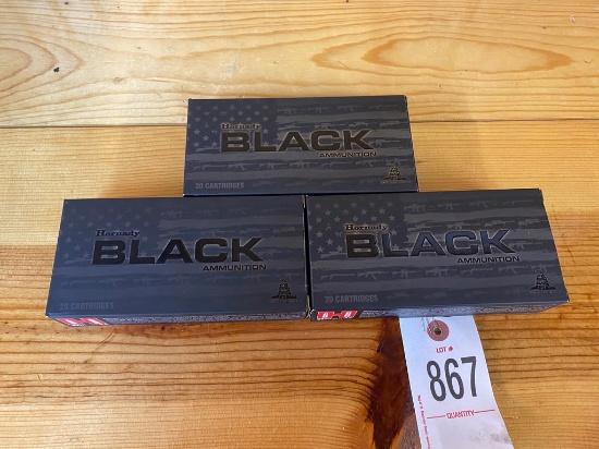 60 Round Hornady Black 450 Bushmaster 250 Gr FTX