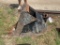 Cat Excavator Bucket