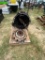 Ford Mustang 5 speed Manual Transmission works, comes with good Cluth 1994-2004
