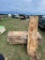 Pecan 10 pcs of Wood Saw mill cut