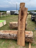 Pecan 8 pcs of wood Saw mill cuts
