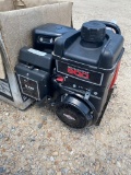 New Red Lion water Pump