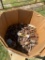 Pallet of Metal Pipe Fittings