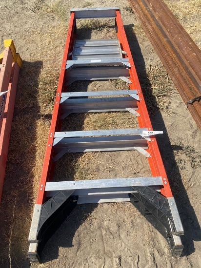 Werner ladder 6' Ladder