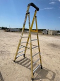 Werner 6 ft. Ladder