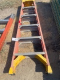 Werner ladder 6' Ladder