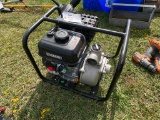 Everbilt Water Pump
