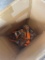 Box of Clamps