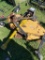 5ft. King Cutter Finishing mower