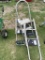 3 Step ladders