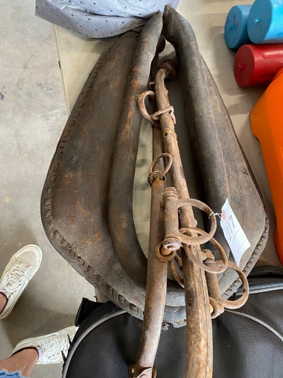Antique Harness for horses