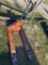 Pallet Jack