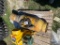 Coppus vano 175