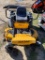 Cub Cadet 54