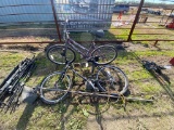 2 bikes and a light