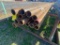 2-7/8 217 Wall 17 pcs @ 22'5