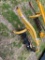 Countyline 3 Point Auger