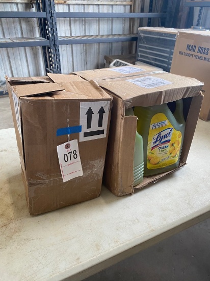 Lysol Cleaner & carpet cleaner