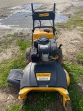 Cub Cadet 33