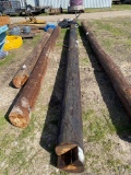 Large telephone pole