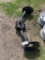 Receiver hitch 13-15 dodge