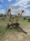 New Gehl 420 10 wheel hay rake