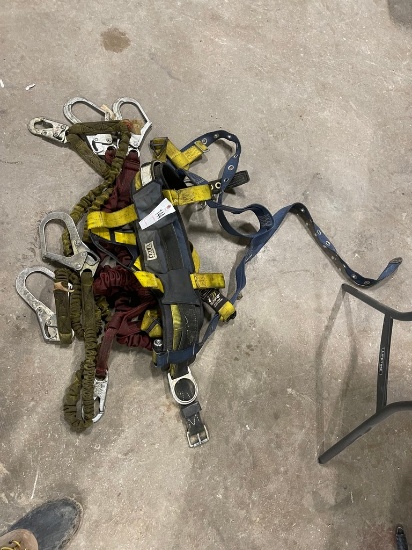 Safety Harness