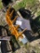 New Miva Mini Excavator Sand Bucket,Ripper,Rake