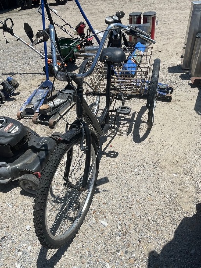 Bicycle with cart