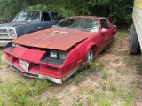 83' Pontiac Trans Am