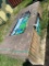 Diggit 20'x30' Metal Car Port With 10' Sidewalls
